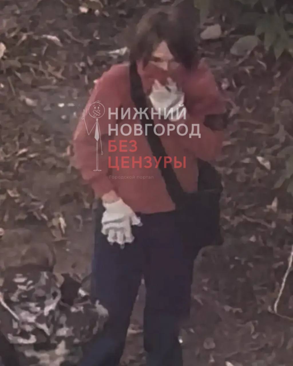 Медиа к новости